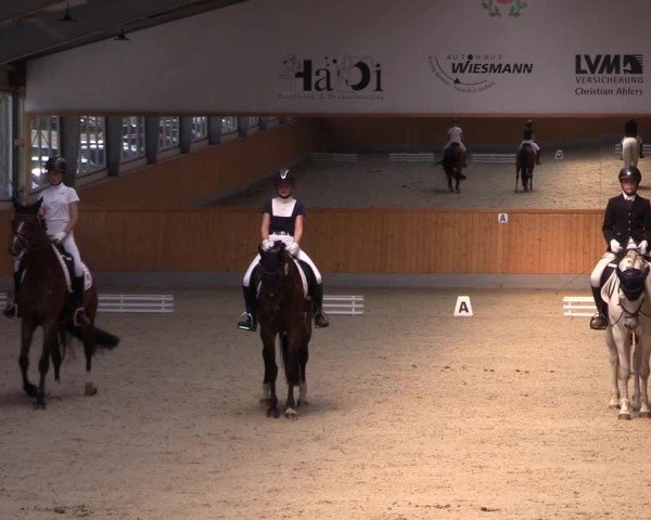 Reitturnier Münster-Amelsbüren 2024