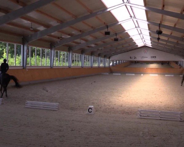 Reitturnier Münster-Amelsbüren 2024