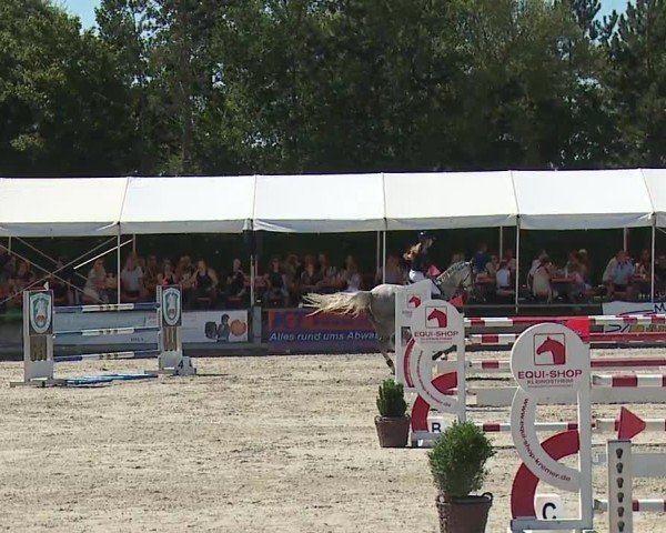 Reitturnier Grafenrheinfeld/Ufr. 2024