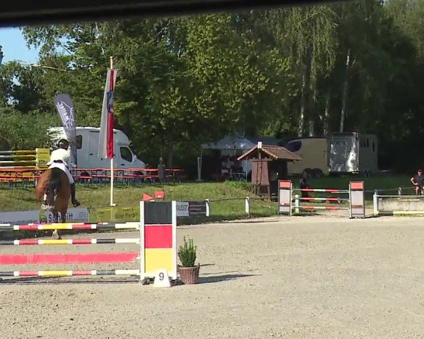 Reitturnier Grafenrheinfeld/Ufr. 2024