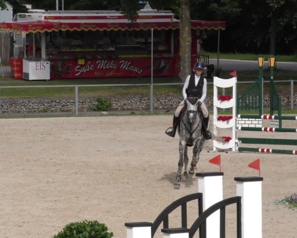 Reitturnier Ingolstadt - Hagau 2024