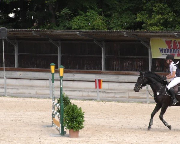 Reitturnier Ingolstadt - Hagau 2024