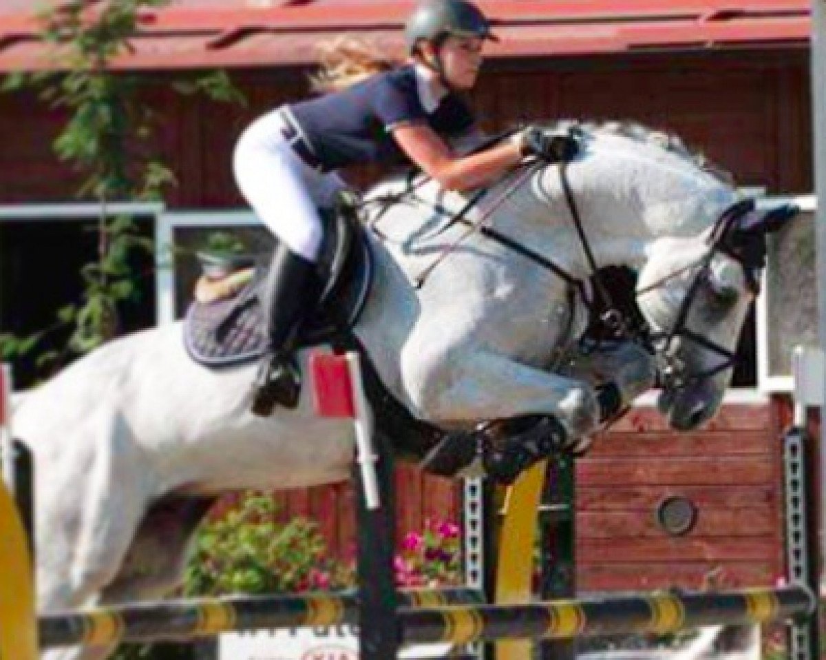 stallion Clinsmann Jun B (Holsteiner, 2004, from Cassini I)