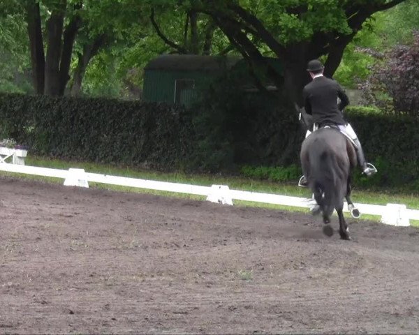 Halle-Tatenhausen Schloßturnier 2013