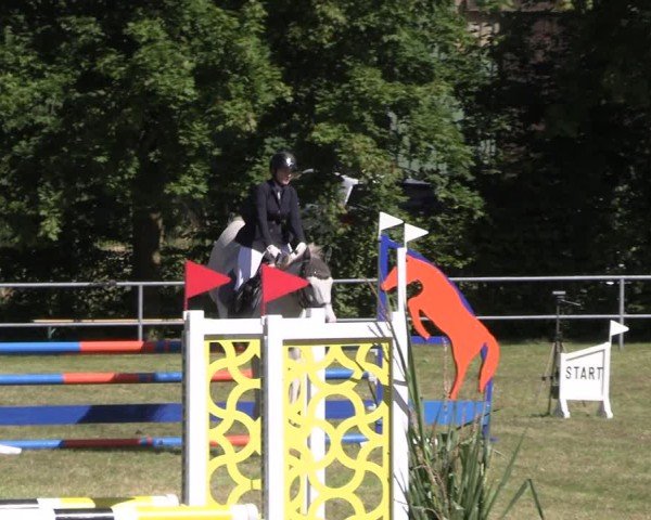 Reitturnier Woldegk 2024