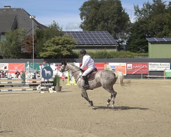 Reitturnier Behrendorf 2024