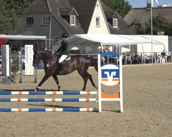 Reitturnier Behrendorf 2024