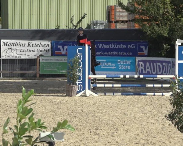 Reitturnier Behrendorf 2024