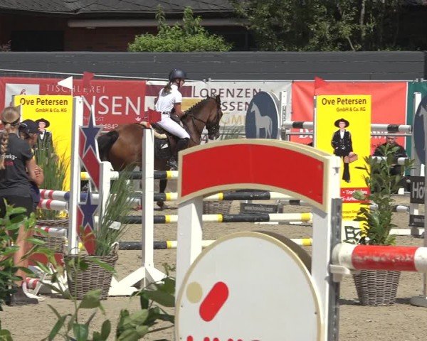 Reitturnier Behrendorf 2024