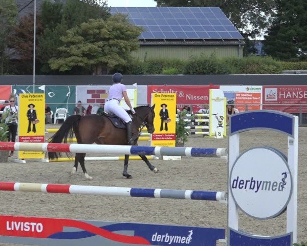 Reitturnier Behrendorf 2024