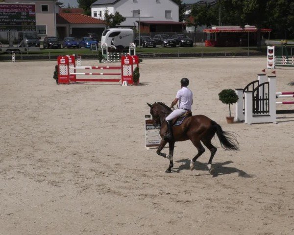 Reitturnier Ingolstadt - Hagau 2024