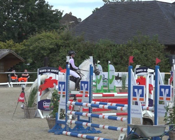 Reitturnier Behrendorf 2024