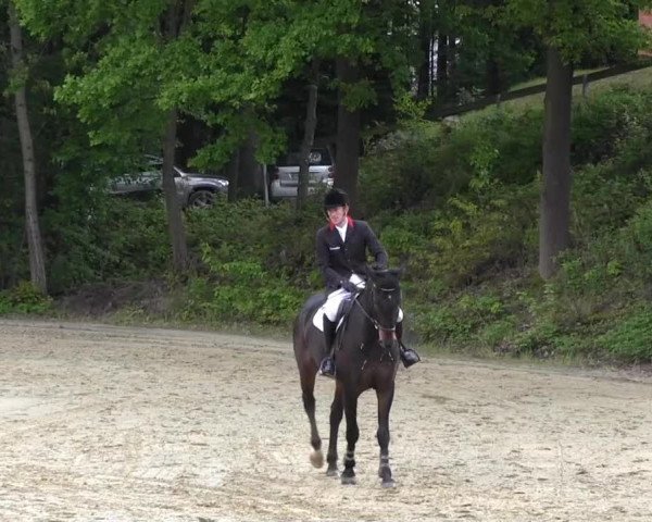 Iserlohn-Kalthof 2013