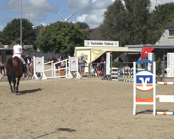 Reitturnier Behrendorf 2024