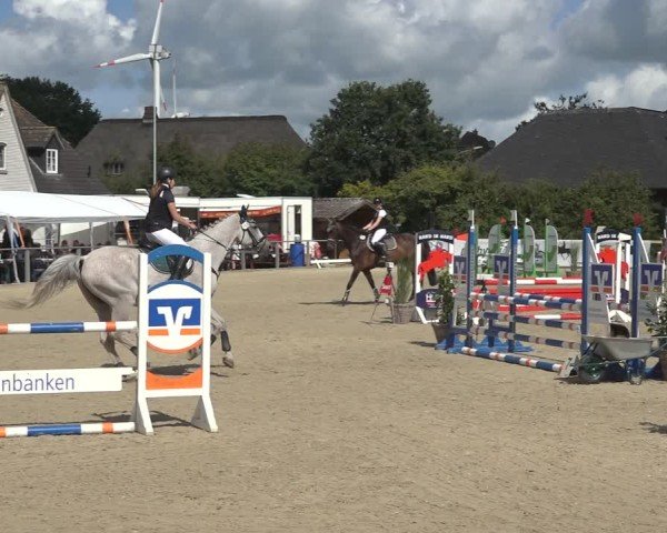 Reitturnier Behrendorf 2024