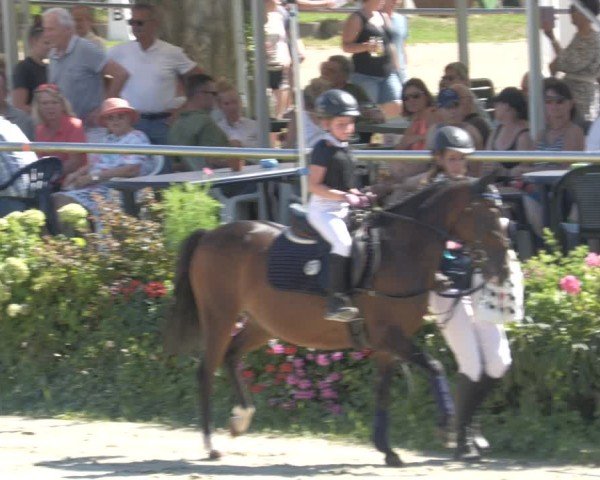 Reitturnier Oberderdingen 2024