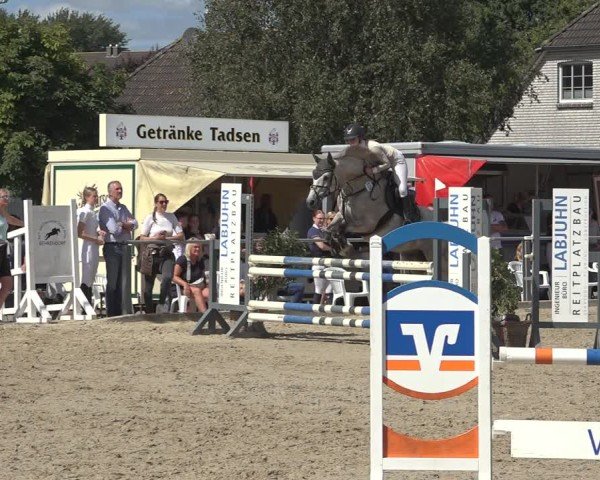 Reitturnier Behrendorf 2024