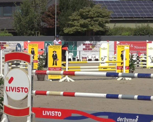 Reitturnier Behrendorf 2024