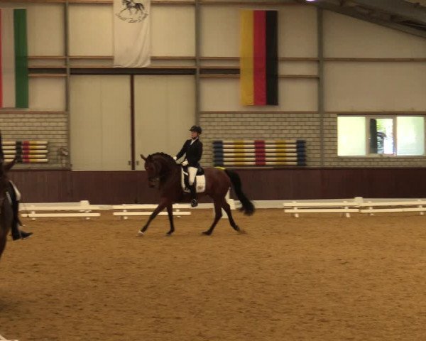 Reitturnier Kirchhellen-RSV Zur Linde 2021