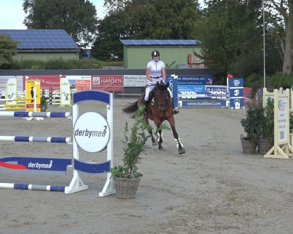 Reitturnier Behrendorf 2024