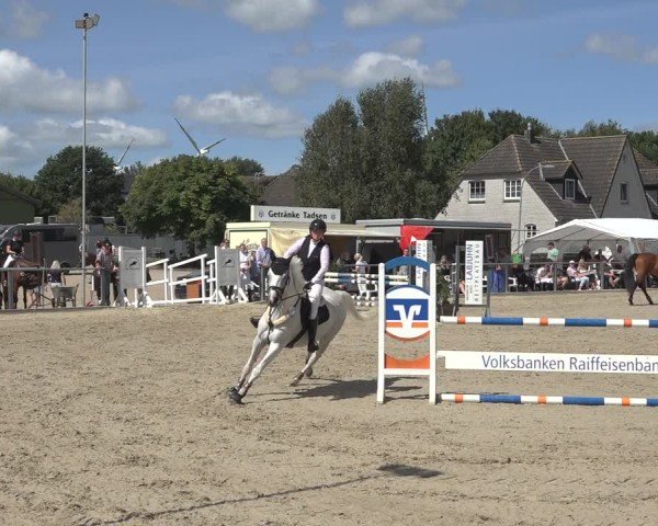 Reitturnier Behrendorf 2024