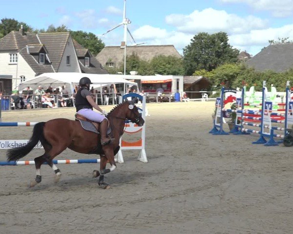 Reitturnier Behrendorf 2024