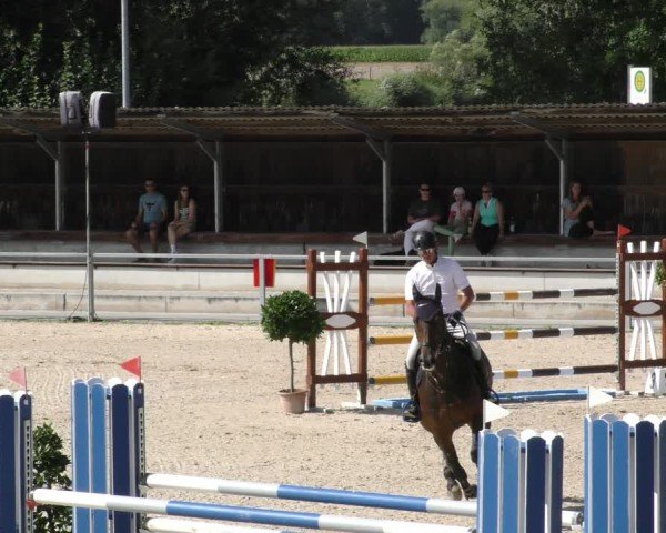 Reitturnier Ingolstadt - Hagau 2024