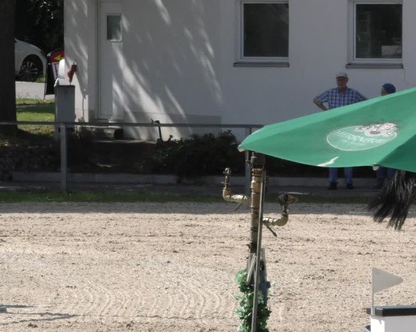 Reitturnier Ingolstadt - Hagau 2024