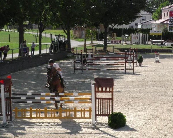 Reitturnier Ingolstadt - Hagau 2024