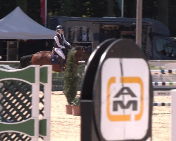 Reitturnier Ranshofen - Braunau am Inn 2024