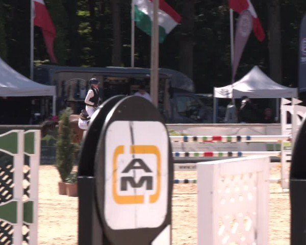 Reitturnier Ranshofen - Braunau am Inn 2024