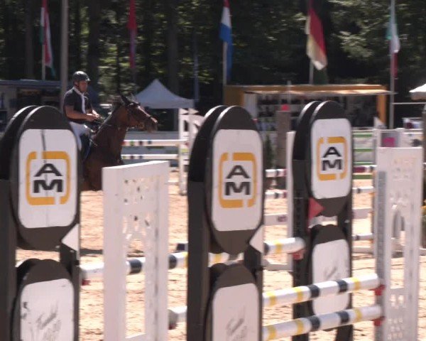 Reitturnier Ranshofen - Braunau am Inn 2024