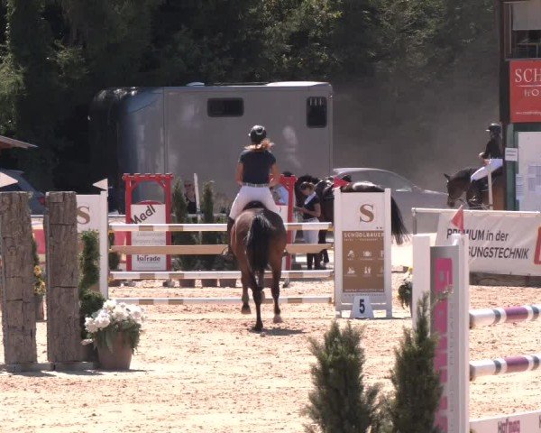 Reitturnier Ranshofen - Braunau am Inn 2024
