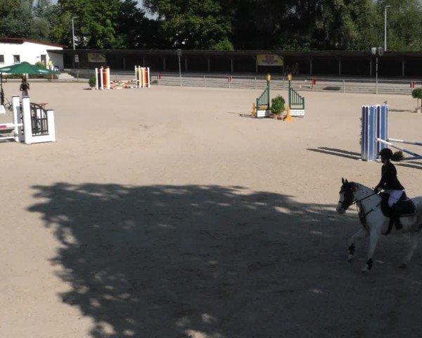 Reitturnier Ingolstadt - Hagau 2024