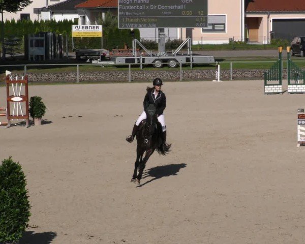 Reitturnier Ingolstadt - Hagau 2024
