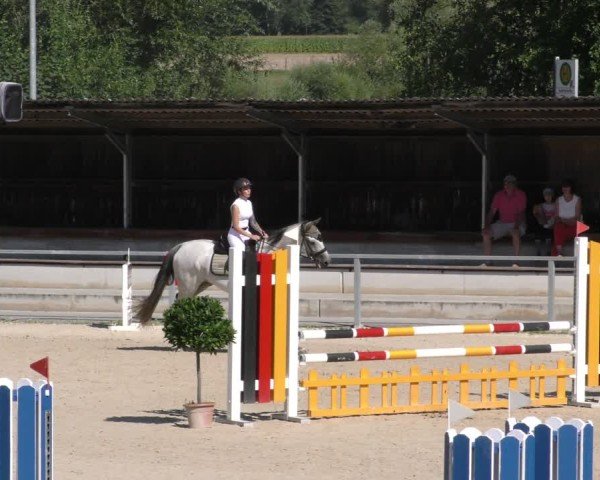 Reitturnier Ingolstadt - Hagau 2024