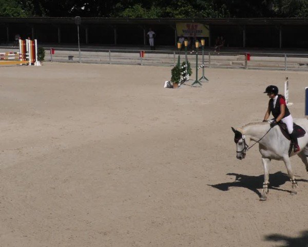 Reitturnier Ingolstadt - Hagau 2024