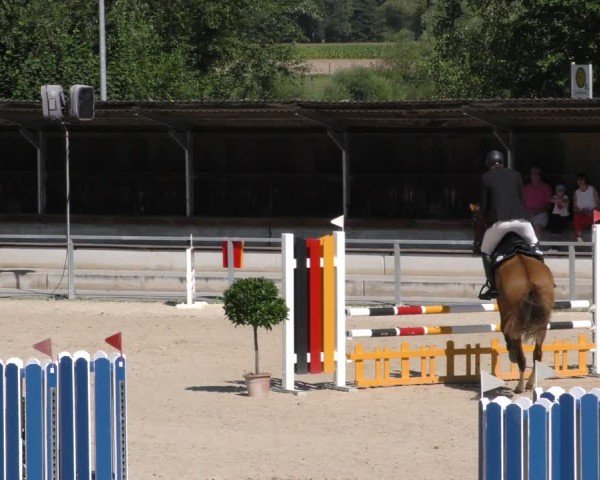 Reitturnier Ingolstadt - Hagau 2024