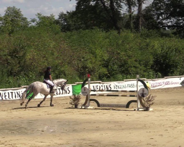 Reitturnier Vellinghausen 2024