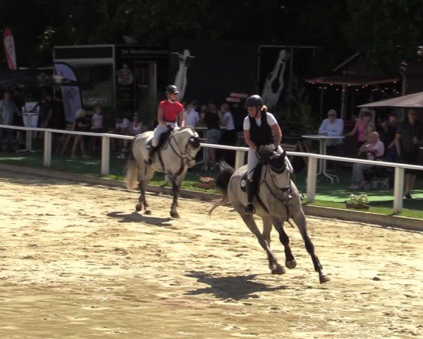 Reitturnier Vellinghausen 2024