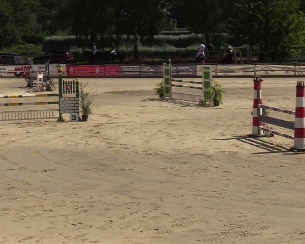 Reitturnier Vellinghausen 2024
