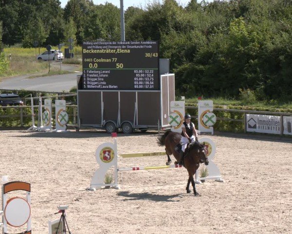 Reitturnier Münster-Amelsbüren 2024