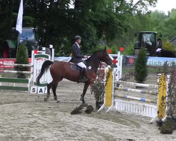 Reitturnier Iserlohn-Kalthof 2013