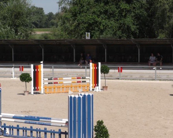 Reitturnier Ingolstadt - Hagau 2024