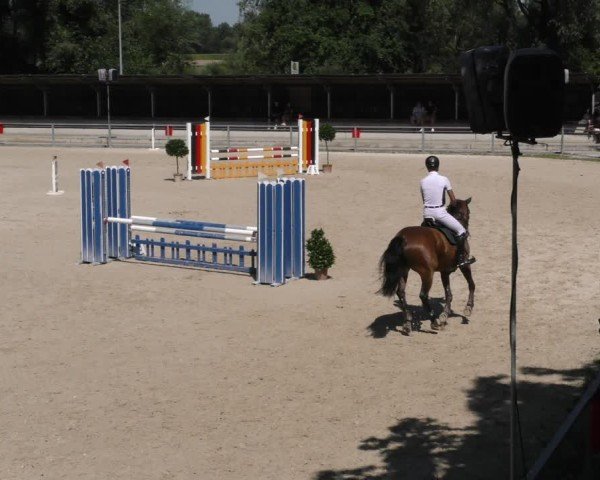 Reitturnier Ingolstadt - Hagau 2024