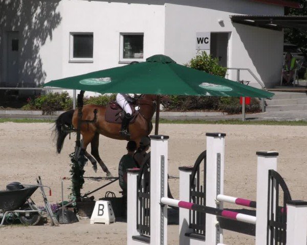 Reitturnier Ingolstadt - Hagau 2024