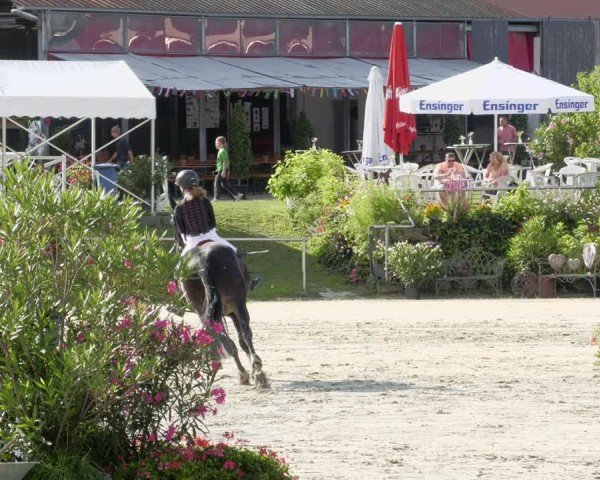 Reitturnier Oberderdingen 2024
