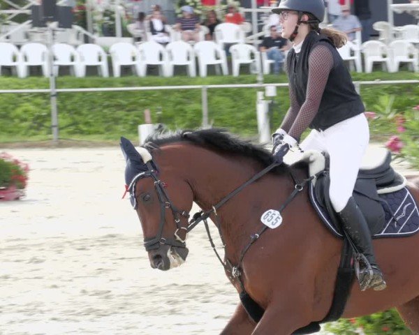 Reitturnier Oberderdingen 2024