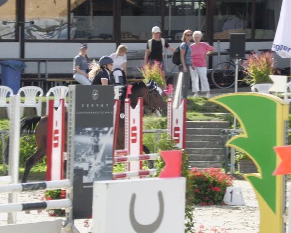 Reitturnier Oberderdingen 2024