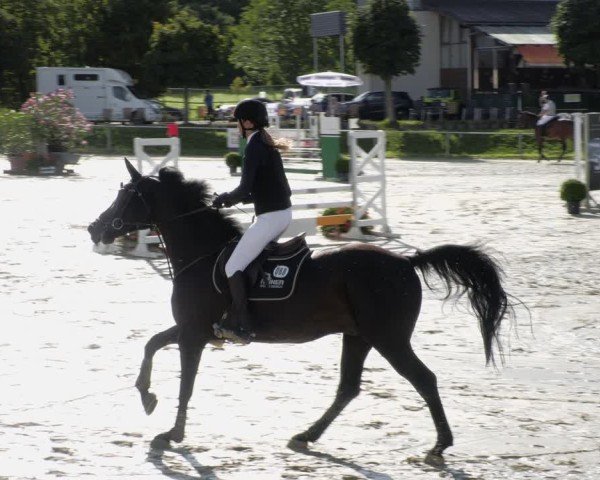 Reitturnier Oberderdingen 2024